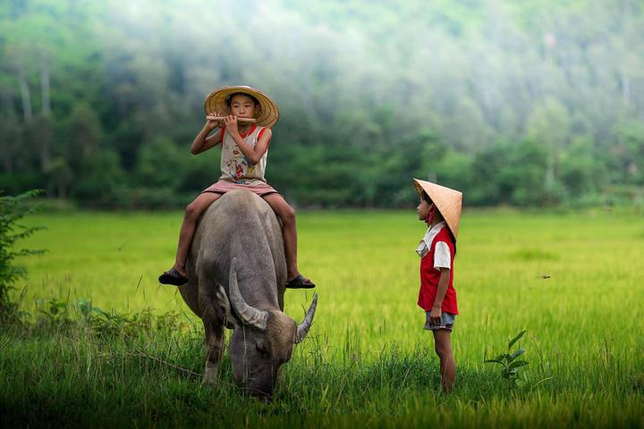 Làm Video Ngắn – Vừa Sáng Tạo, Vừa Kiếm Tiền Với Công Cụ Hữu Ích