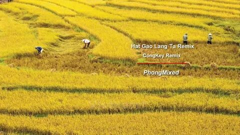 Hotspot Matrix và 3 kiểu giày 