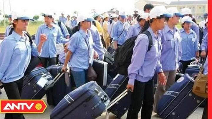 Xu hướng Nhà văn nói: 1 người nóng nảy: Hotspot Matrix tiết lộ bí quyết video viral