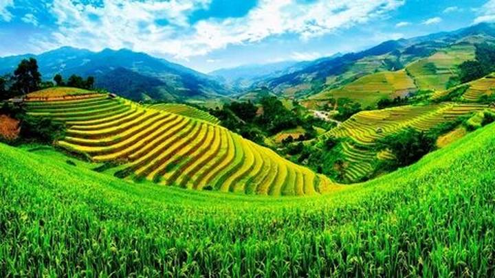 Phim Trung Quốc chiếu 7 năm - Cảm hứng video marketing từ Hotspot Matrix